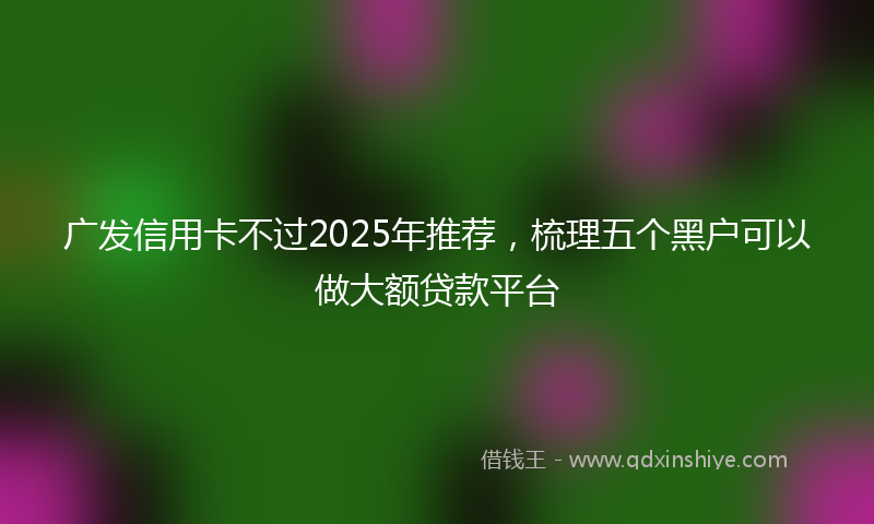 广发信用卡不过2025年推荐，梳理五个黑户可以做大额贷款平台