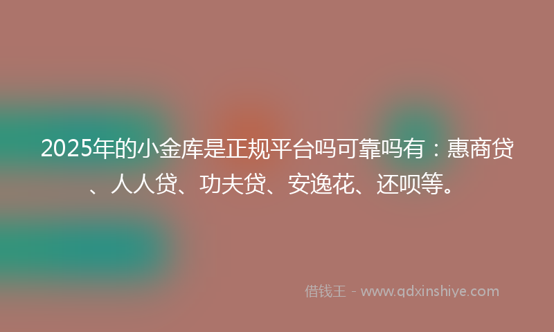 2025年的小金库是正规平台吗可靠吗有：惠商贷、人人贷、功夫贷、安逸花、还呗等。