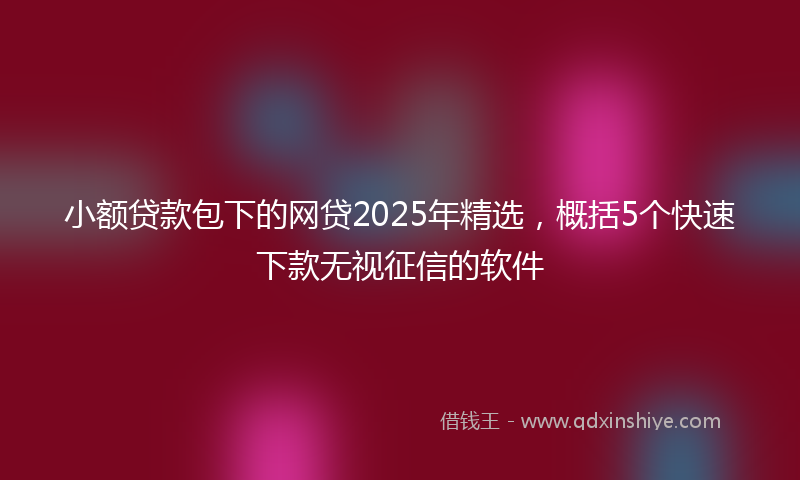 小额贷款包下的网贷2025年精选，概括5个快速下款无视征信的软件
