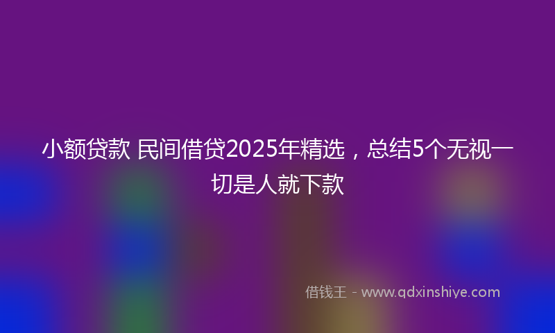 小额贷款 民间借贷2025年精选，总结5个无视一切是人就下款