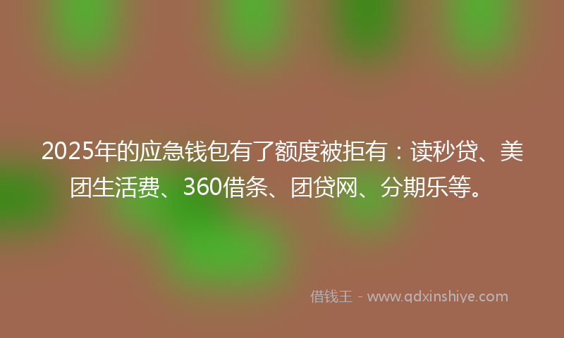 2025年的应急钱包有了额度被拒有：读秒贷、美团生活费、360借条、团贷网、分期乐等。
