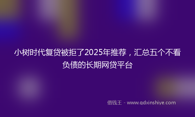 小树时代复贷被拒了2025年推荐，汇总五个不看负债的长期网贷平台