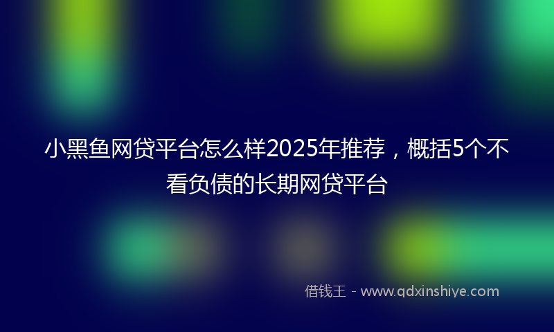 小黑鱼网贷平台怎么样2025年推荐，概括5个不看负债的长期网贷平台