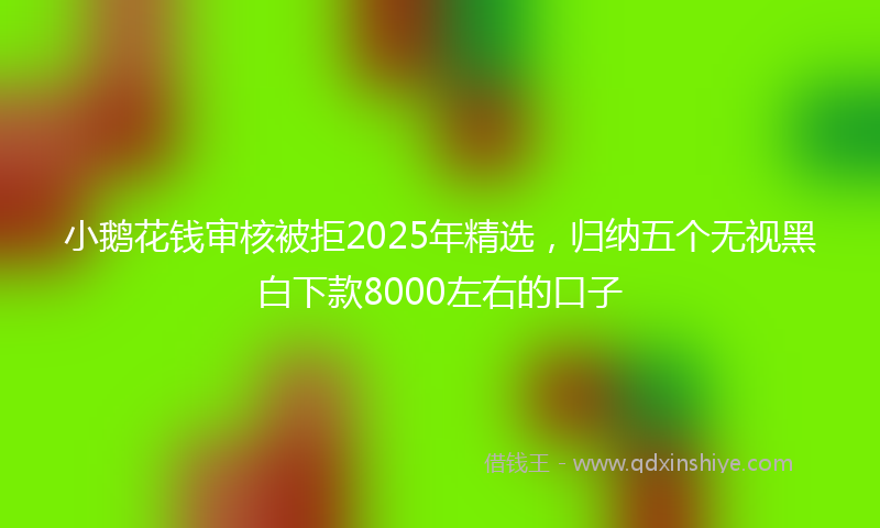 小鹅花钱审核被拒2025年精选，归纳五个无视黑白下款8000左右的口子