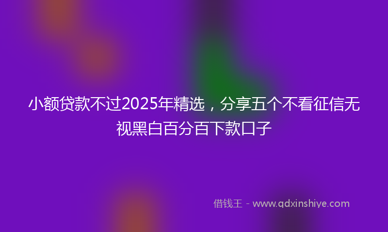 小额贷款不过2025年精选，分享五个不看征信无视黑白百分百下款口子