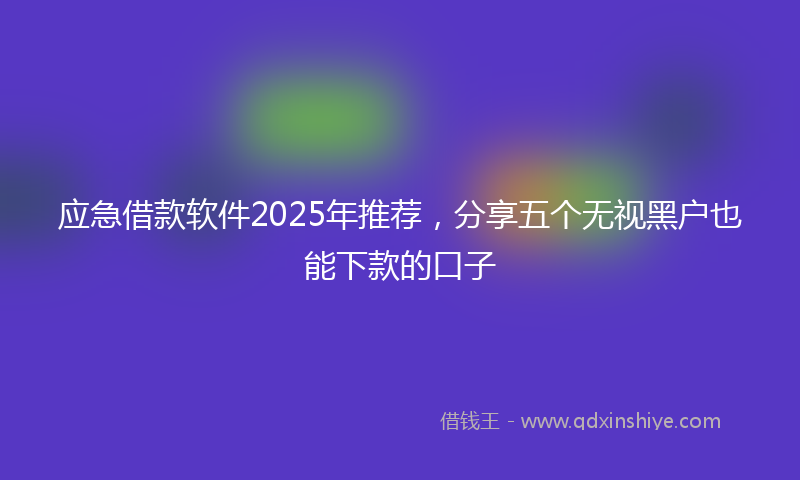 应急借款软件2025年推荐，分享五个无视黑户也能下款的口子
