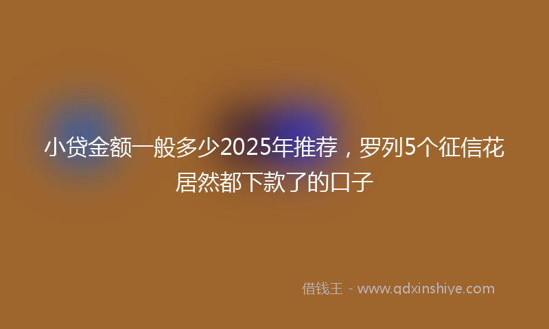 小贷金额一般多少2025年推荐，罗列5个征信花居然都下款了的口子