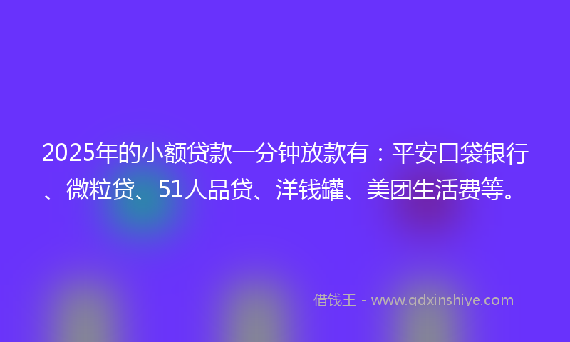 2025年的小额贷款一分钟放款有：平安口袋银行、微粒贷、51人品贷、洋钱罐、美团生活费等。