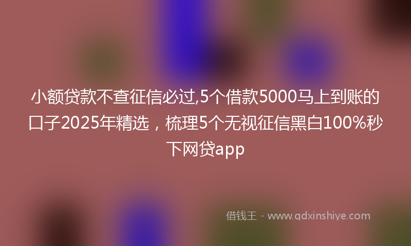 小额贷款不查征信必过,5个借款5000马上到账的口子2025年精选，梳理5个无视征信黑白100%秒下网贷app