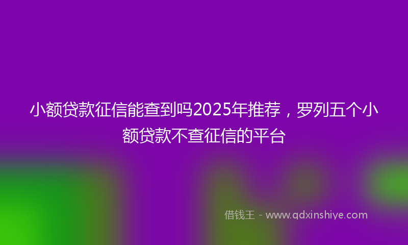 小额贷款征信能查到吗2025年推荐，罗列五个小额贷款不查征信的平台