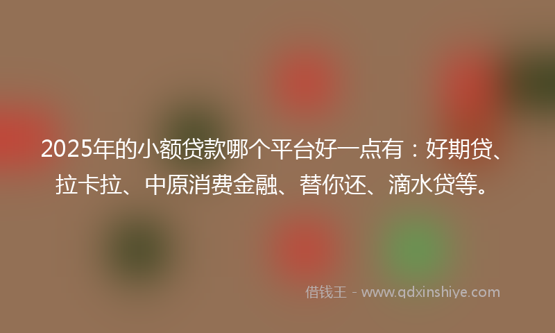 2025年的小额贷款哪个平台好一点有：好期贷、拉卡拉、中原消费金融、替你还、滴水贷等。