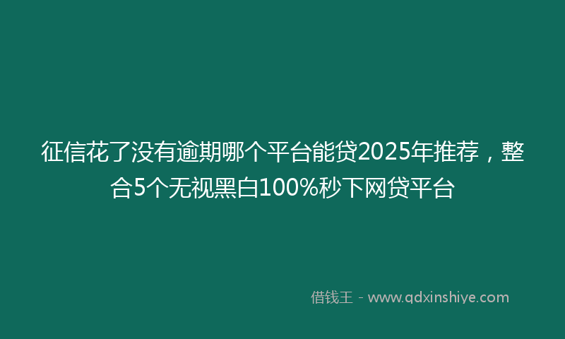 征信花了没有逾期哪个平台能贷2025年推荐，整合5个无视黑白100%秒下网贷平台