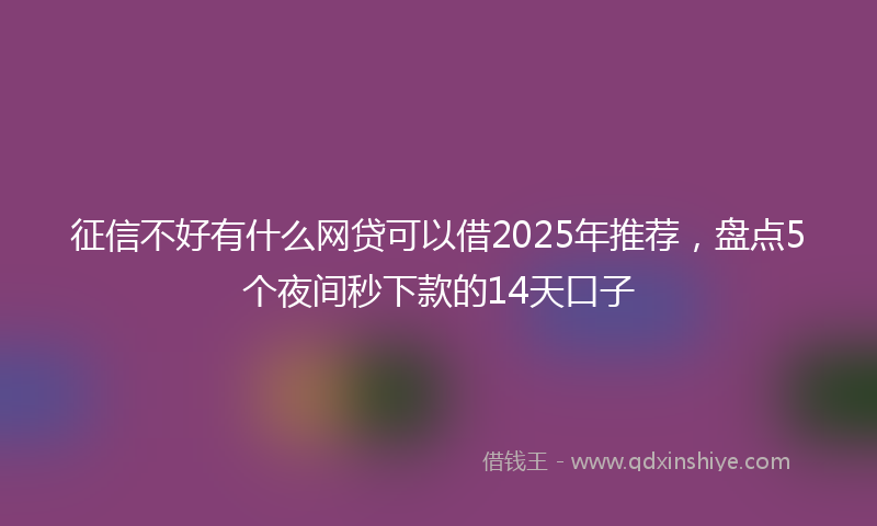 征信不好有什么网贷可以借2025年推荐，盘点5个夜间秒下款的14天口子