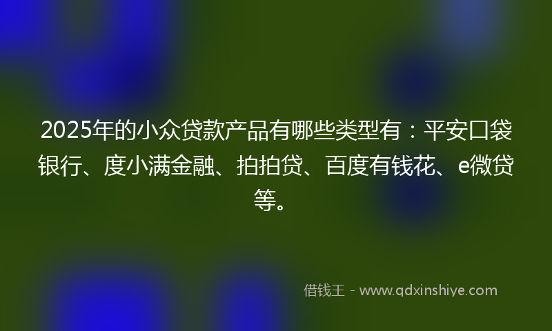 2025年的小众贷款产品有哪些类型有：平安口袋银行、度小满金融、拍拍贷、百度有钱花、e微贷等。