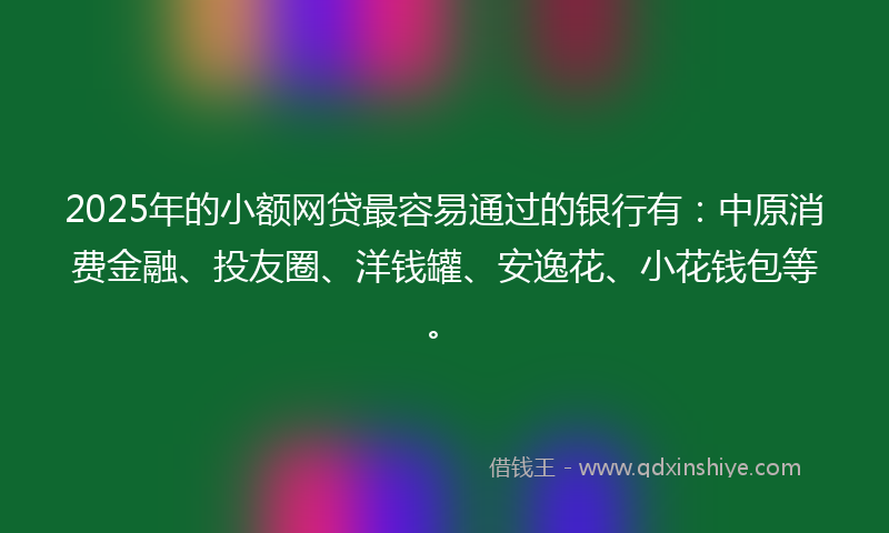2025年的小额网贷最容易通过的银行有：中原消费金融、投友圈、洋钱罐、安逸花、小花钱包等。