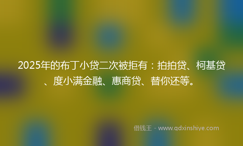 2025年的布丁小贷二次被拒有：拍拍贷、柯基贷、度小满金融、惠商贷、替你还等。