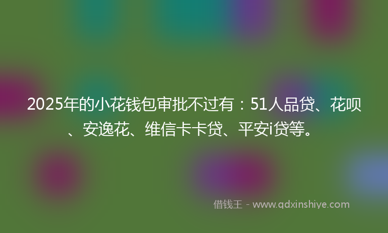 2025年的小花钱包审批不过有：51人品贷、花呗、安逸花、维信卡卡贷、平安i贷等。