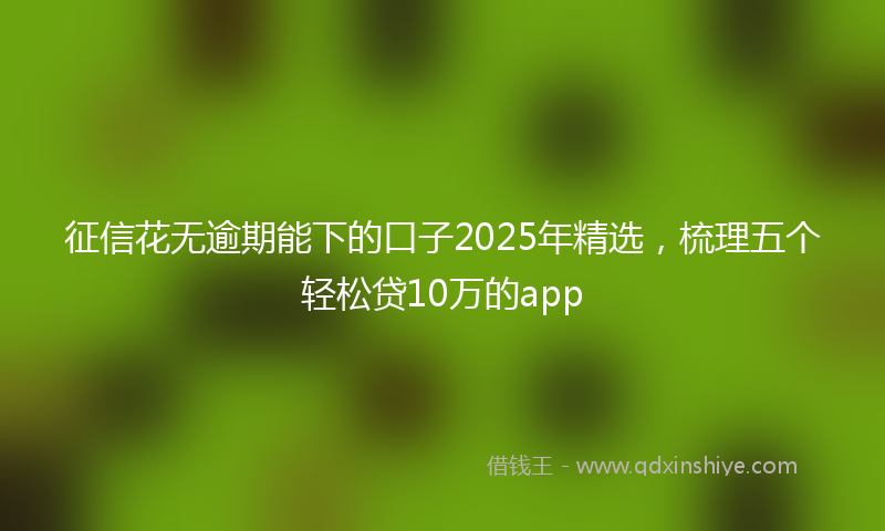 征信花无逾期能下的口子2025年精选，梳理五个轻松贷10万的app
