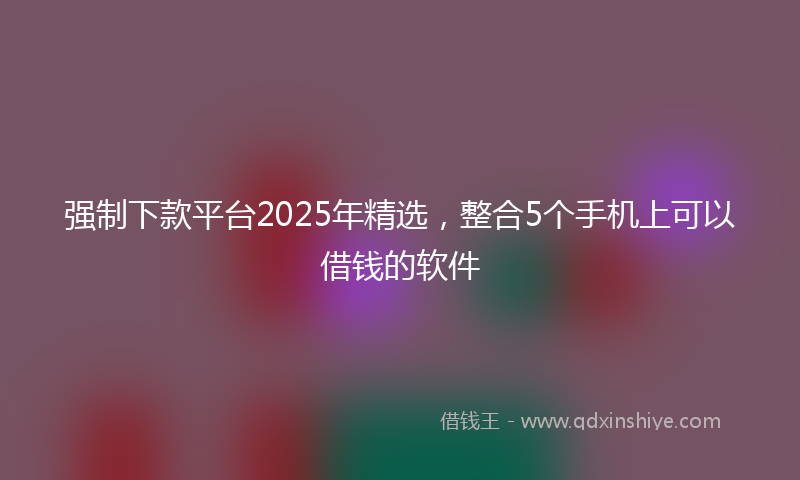 强制下款平台2025年精选，整合5个手机上可以借钱的软件