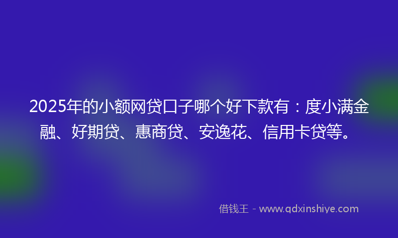 2025年的小额网贷口子哪个好下款有：度小满金融、好期贷、惠商贷、安逸花、信用卡贷等。
