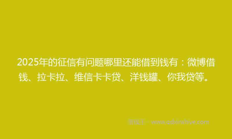 2025年的征信有问题哪里还能借到钱有：微博借钱、拉卡拉、维信卡卡贷、洋钱罐、你我贷等。