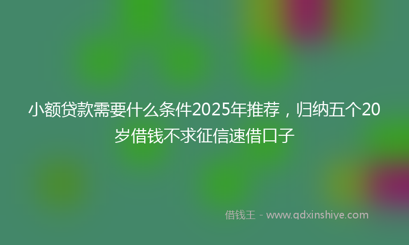 小额贷款需要什么条件2025年推荐，归纳五个20岁借钱不求征信速借口子