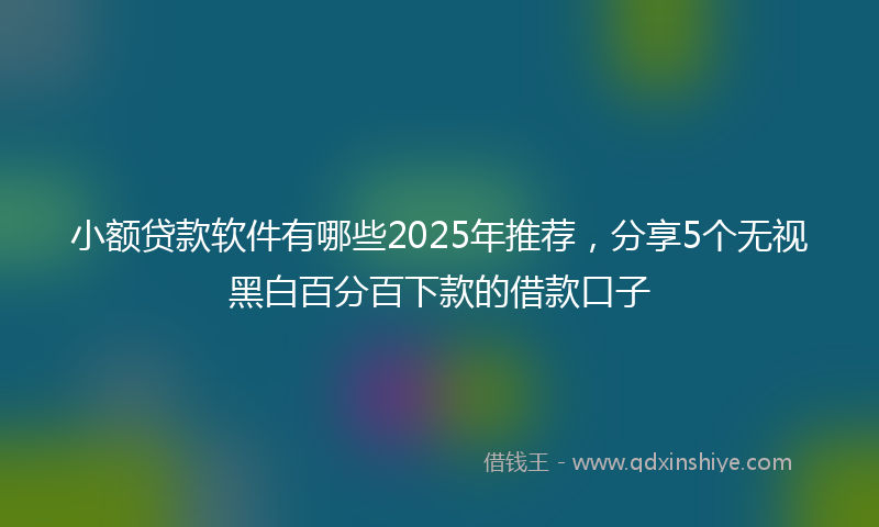 小额贷款软件有哪些2025年推荐，分享5个无视黑白百分百下款的借款口子