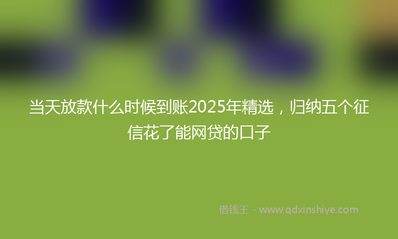 当天放款什么时候到账2025年精选，归纳五个征信花了能网贷的口子