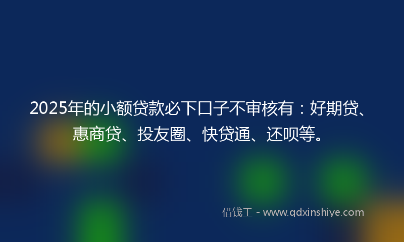 2025年的小额贷款必下口子不审核有：好期贷、惠商贷、投友圈、快贷通、还呗等。