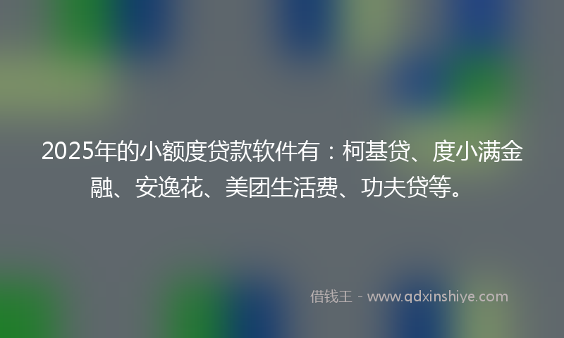 2025年的小额度贷款软件有：柯基贷、度小满金融、安逸花、美团生活费、功夫贷等。
