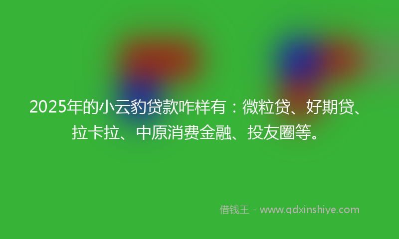 2025年的小云豹贷款咋样有：微粒贷、好期贷、拉卡拉、中原消费金融、投友圈等。