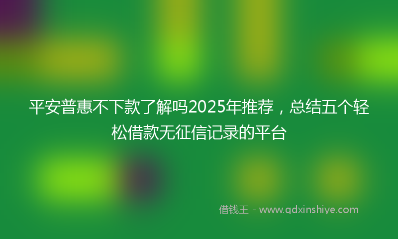 平安普惠不下款了解吗2025年推荐，总结五个轻松借款无征信记录的平台