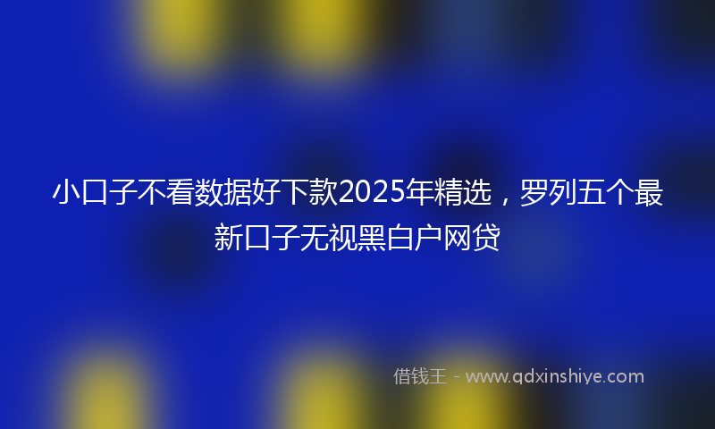 小口子不看数据好下款2025年精选，罗列五个最新口子无视黑白户网贷