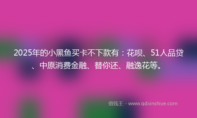 2025年的小黑鱼买卡不下款有：花呗、51人品贷、中原消费金融、替你还、融逸花等。