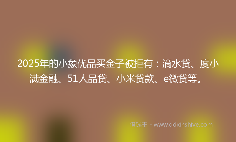 2025年的小象优品买金子被拒有：滴水贷、度小满金融、51人品贷、小米贷款、e微贷等。