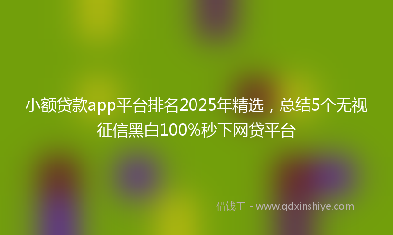 小额贷款app平台排名2025年精选，总结5个无视征信黑白100%秒下网贷平台