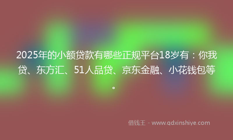2025年的小额贷款有哪些正规平台18岁有：你我贷、东方汇、51人品贷、京东金融、小花钱包等。