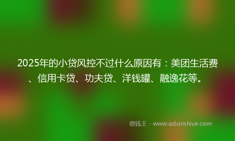 2025年的小贷风控不过什么原因有：美团生活费、信用卡贷、功夫贷、洋钱罐、融逸花等。