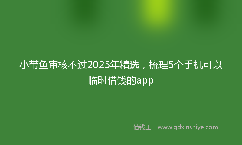 小带鱼审核不过2025年精选，梳理5个手机可以临时借钱的app