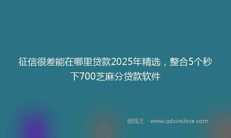 征信很差能在哪里贷款2025年精选，整合5个秒下700芝麻分贷款软件