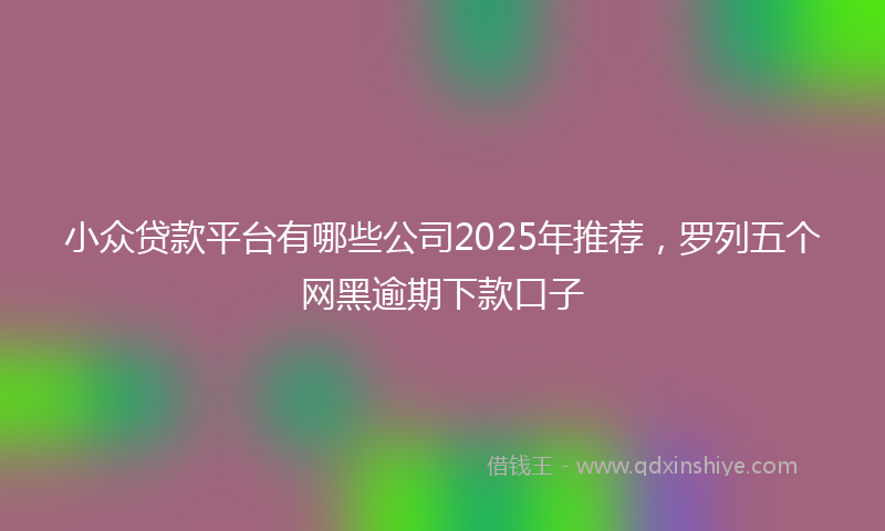 小众贷款平台有哪些公司2025年推荐，罗列五个网黑逾期下款口子