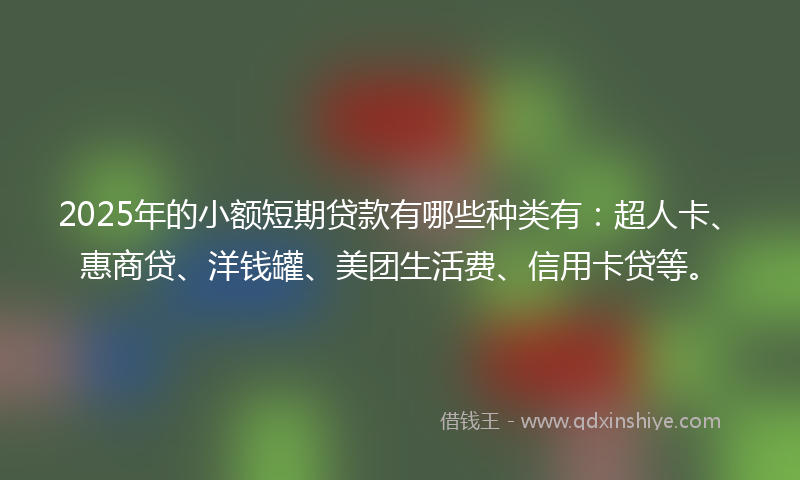 2025年的小额短期贷款有哪些种类有：超人卡、惠商贷、洋钱罐、美团生活费、信用卡贷等。