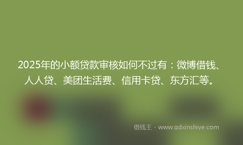 2025年的小额贷款审核如何不过有：微博借钱、人人贷、美团生活费、信用卡贷、东方汇等。