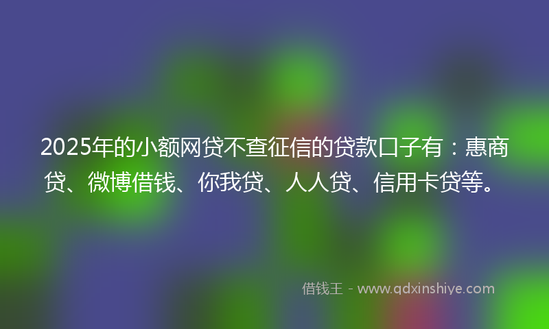 2025年的小额网贷不查征信的贷款口子有：惠商贷、微博借钱、你我贷、人人贷、信用卡贷等。