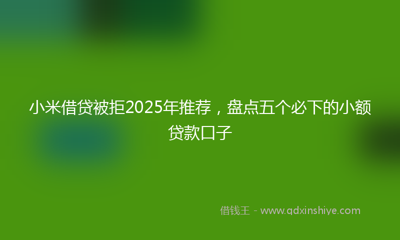 小米借贷被拒2025年推荐，盘点五个必下的小额贷款口子