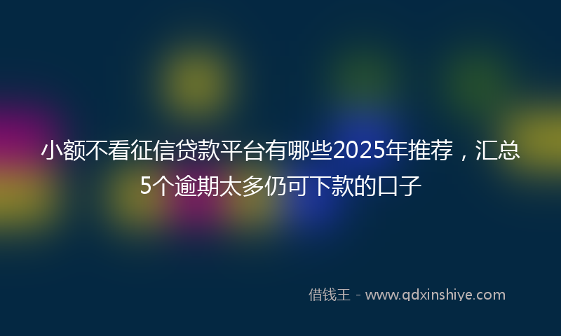 小额不看征信贷款平台有哪些2025年推荐，汇总5个逾期太多仍可下款的口子