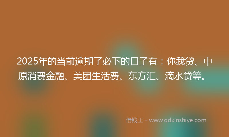 2025年的当前逾期了必下的口子有：你我贷、中原消费金融、美团生活费、东方汇、滴水贷等。