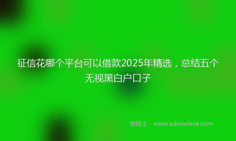 征信花哪个平台可以借款2025年精选，总结五个无视黑白户口子
