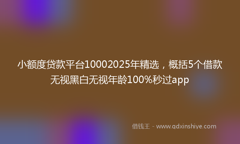 小额度贷款平台10002025年精选，概括5个借款无视黑白无视年龄100%秒过app
