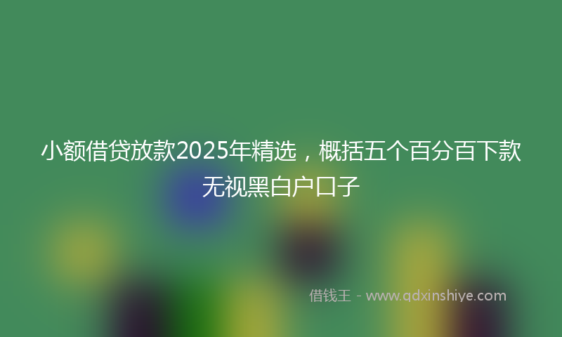 小额借贷放款2025年精选，概括五个百分百下款无视黑白户口子